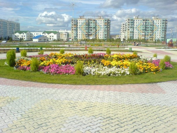 5-6 мкр