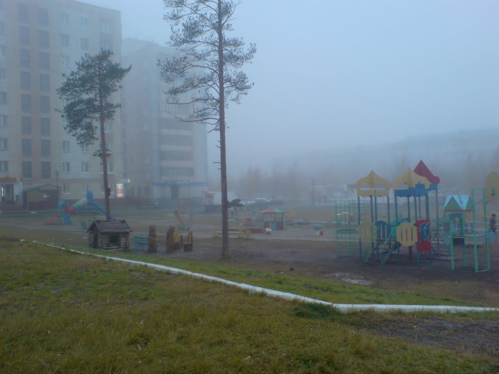 Первый снег растаял...