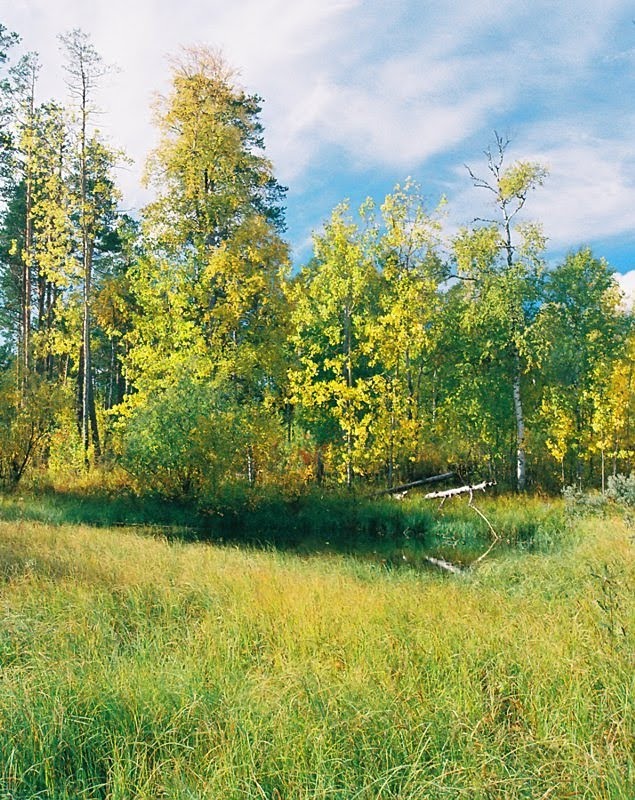 Краски осени