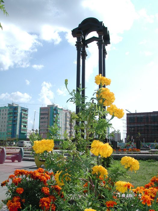 Памятник в центре