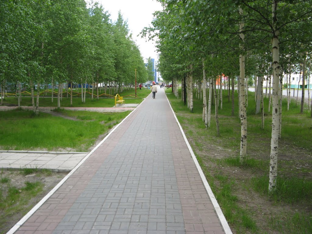 алея