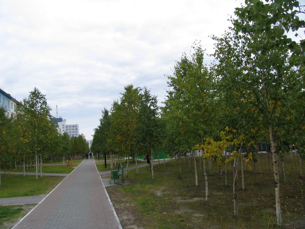 аллея к центру