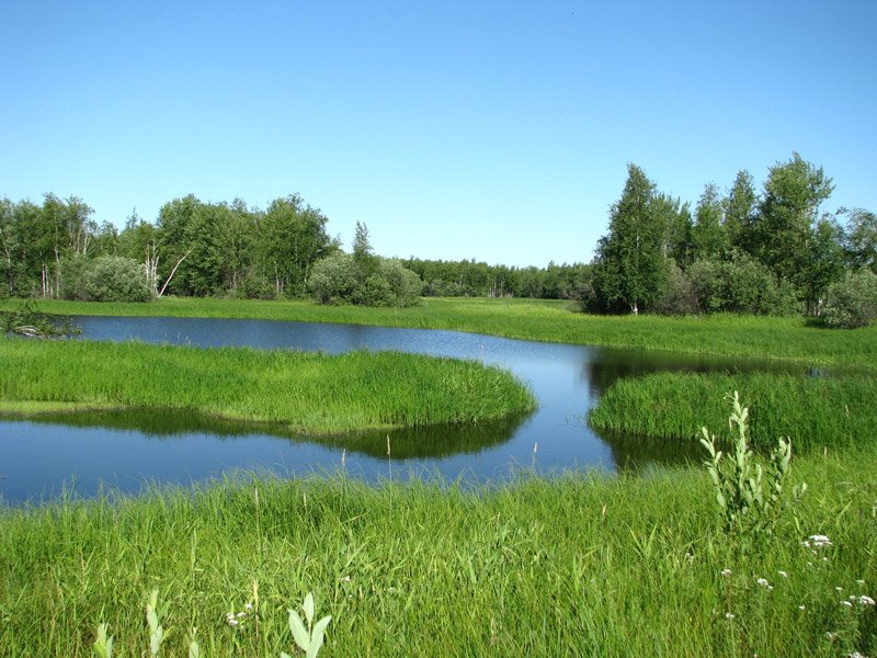 Урайчик