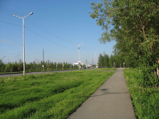Утро в Пыть-яхе (2)