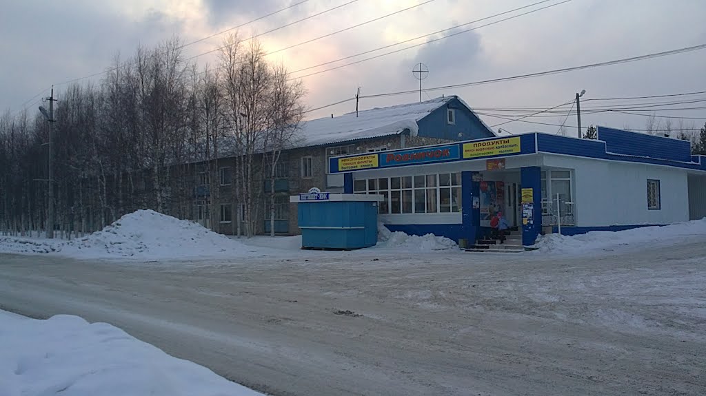 магазин Родничок