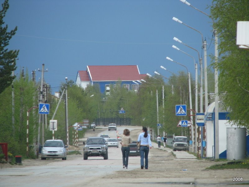 ул. Кооперативная (вид от памятника Г.Е.Собянину)