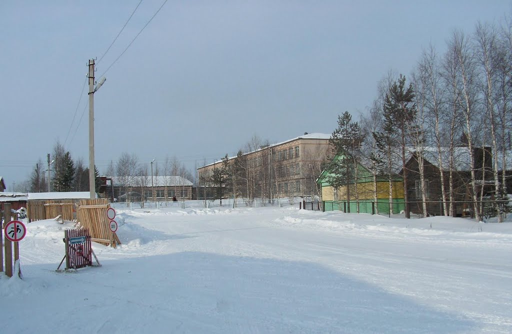 Зимой