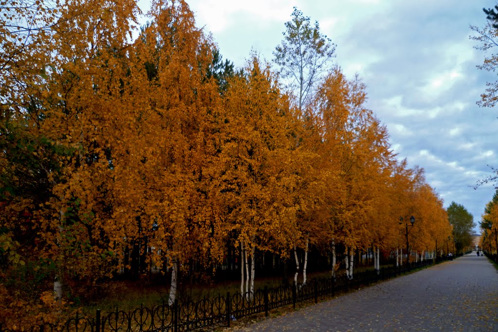 Осенью на бульваре.
