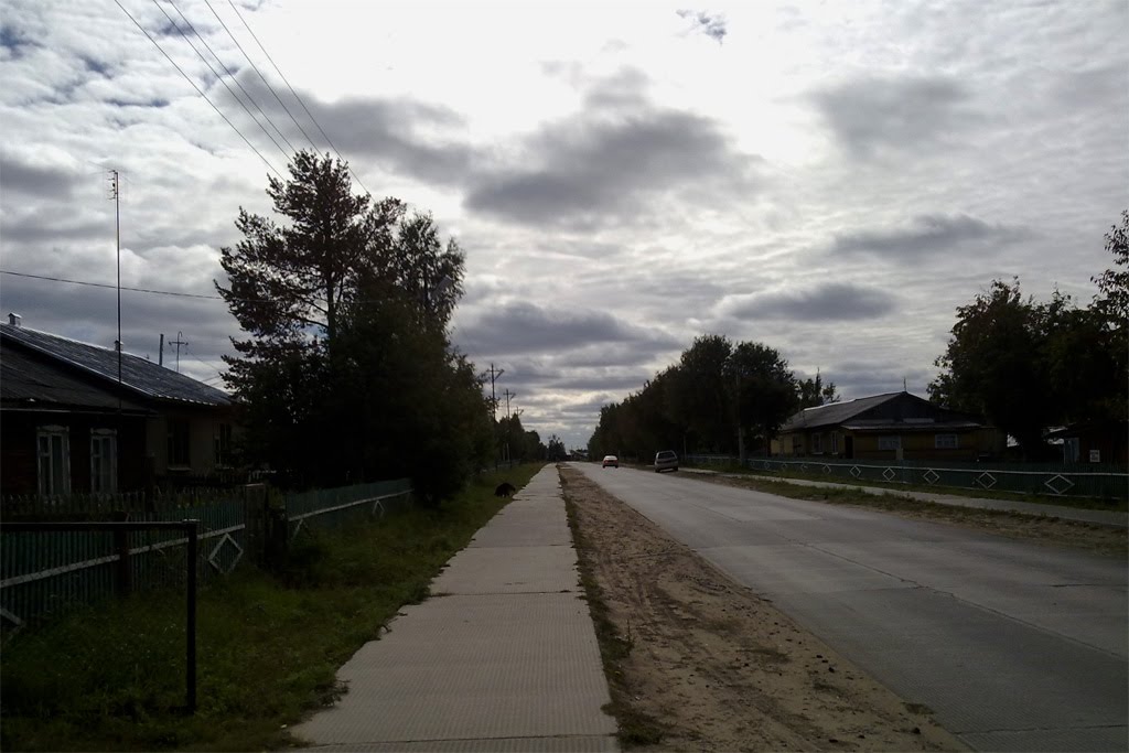 Частные дома.