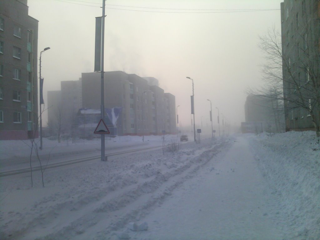 ул. Мира, 01.01.2010
