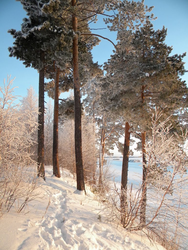 23.01.2011 г.
