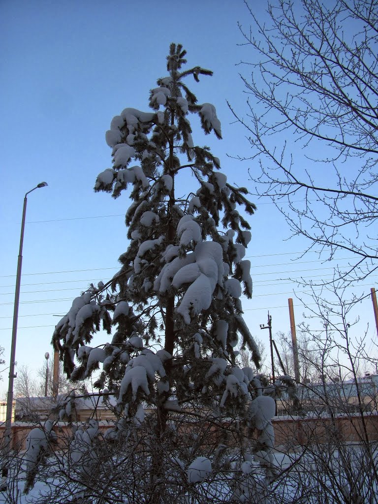 Мегион, 2014