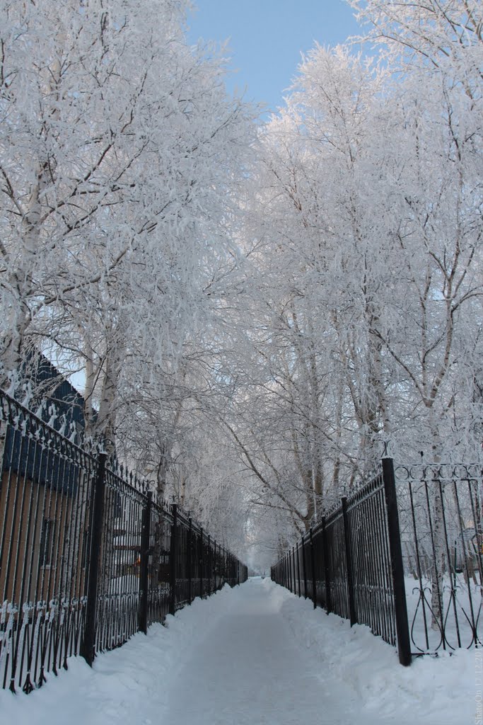 Морозный коридор (17 декабря 2011г.)