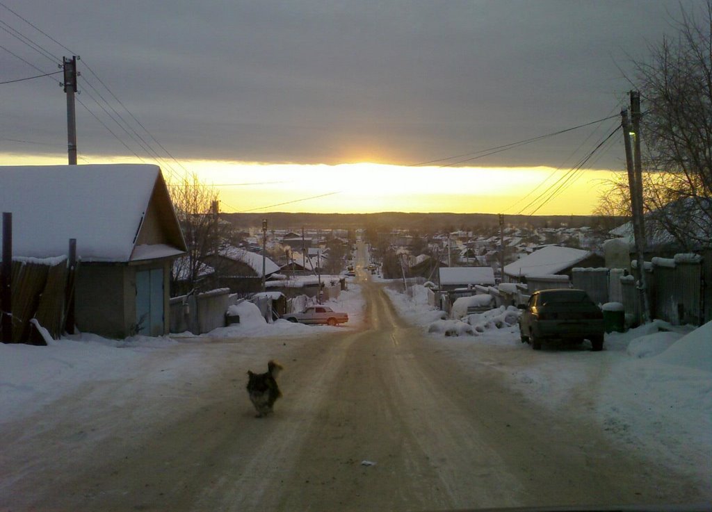 ул.Пушкина- 25/12/2008 (12:00ч.)