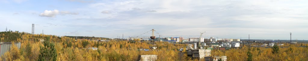 Вид на город. Осень 2011