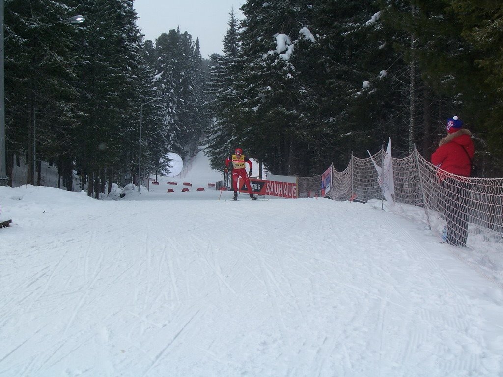 Лыжная трасса