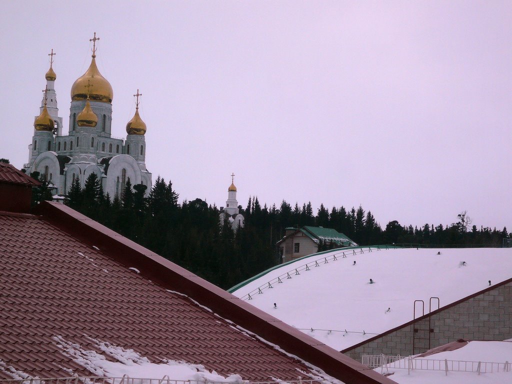 Вид