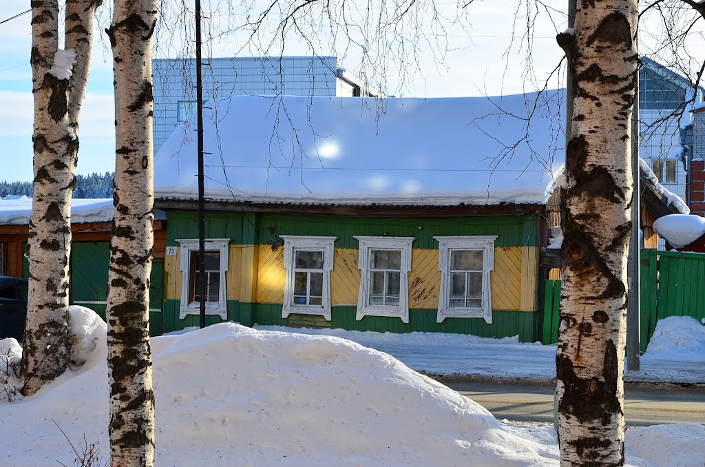 Солнечные зайчики