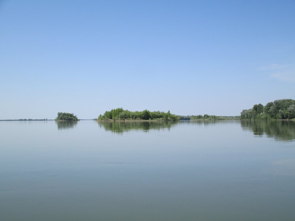 Острова на Оби