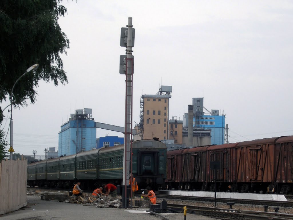 Техногенный антураж станции Алейск. The technogenic entourage of Aleysk railway station.