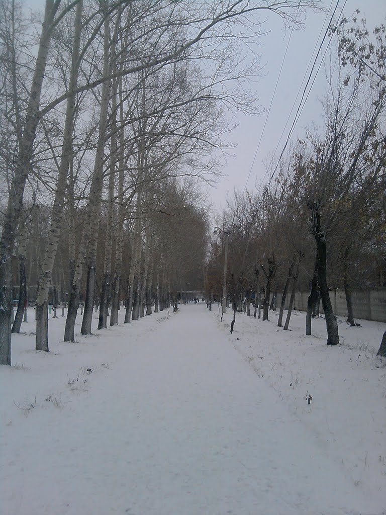 Аллея возле Школы №4