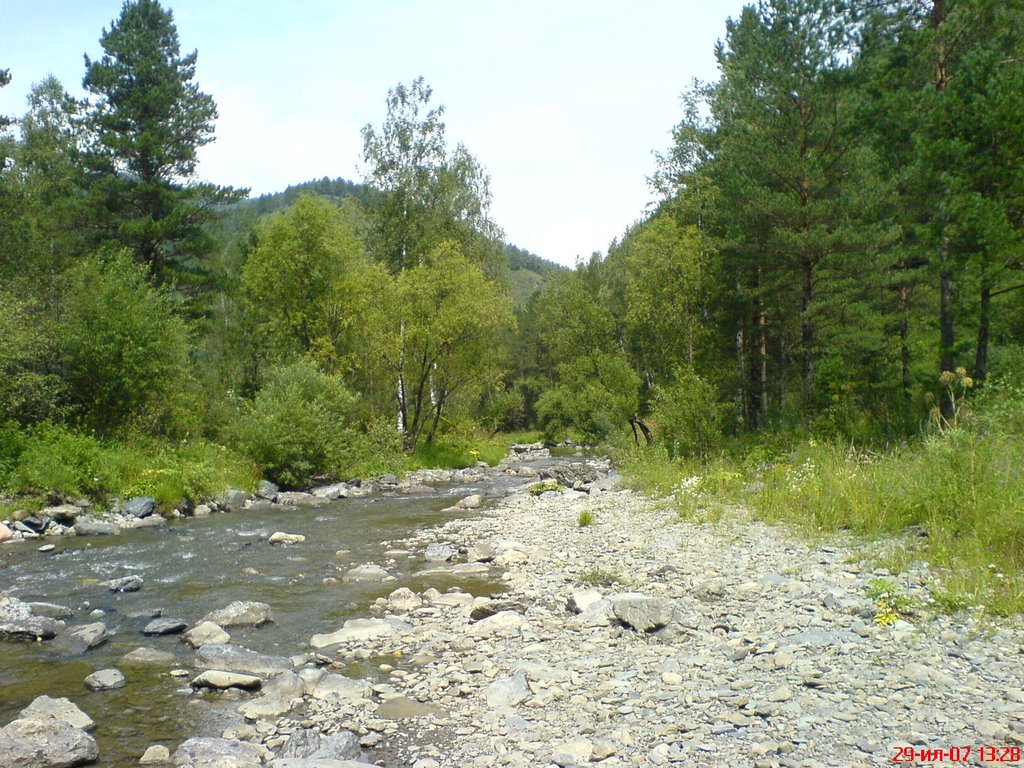 с. Алтайское, Лесхоз