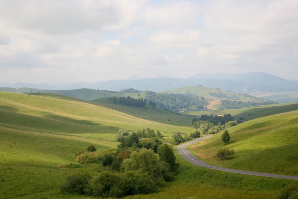 Предгорье Алтая