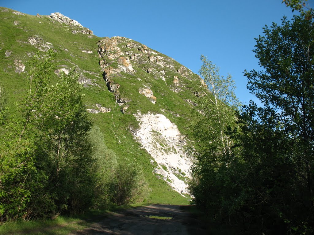 Дорога к роднику
