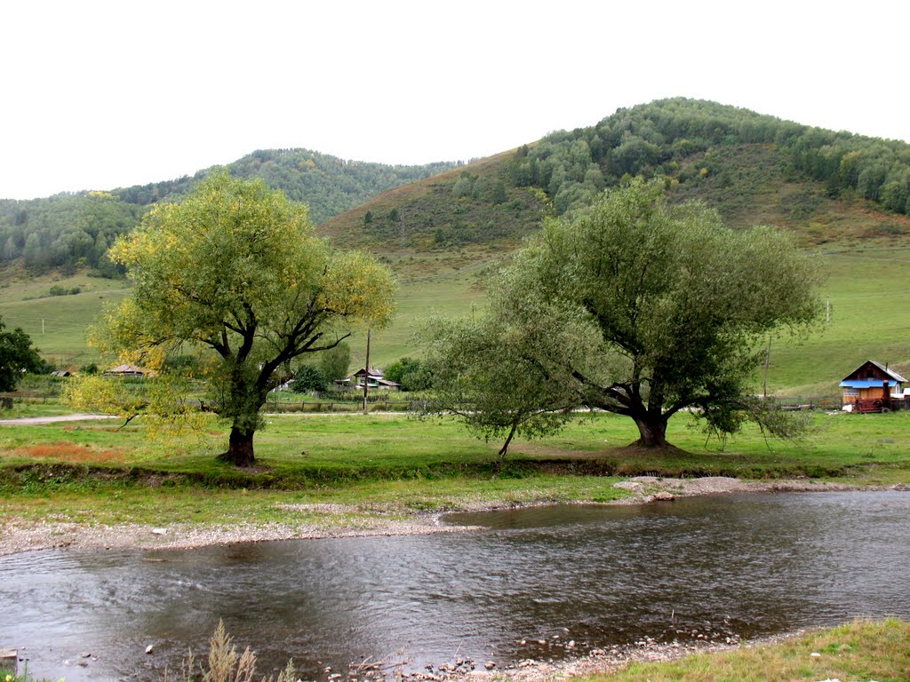 р. Сараса