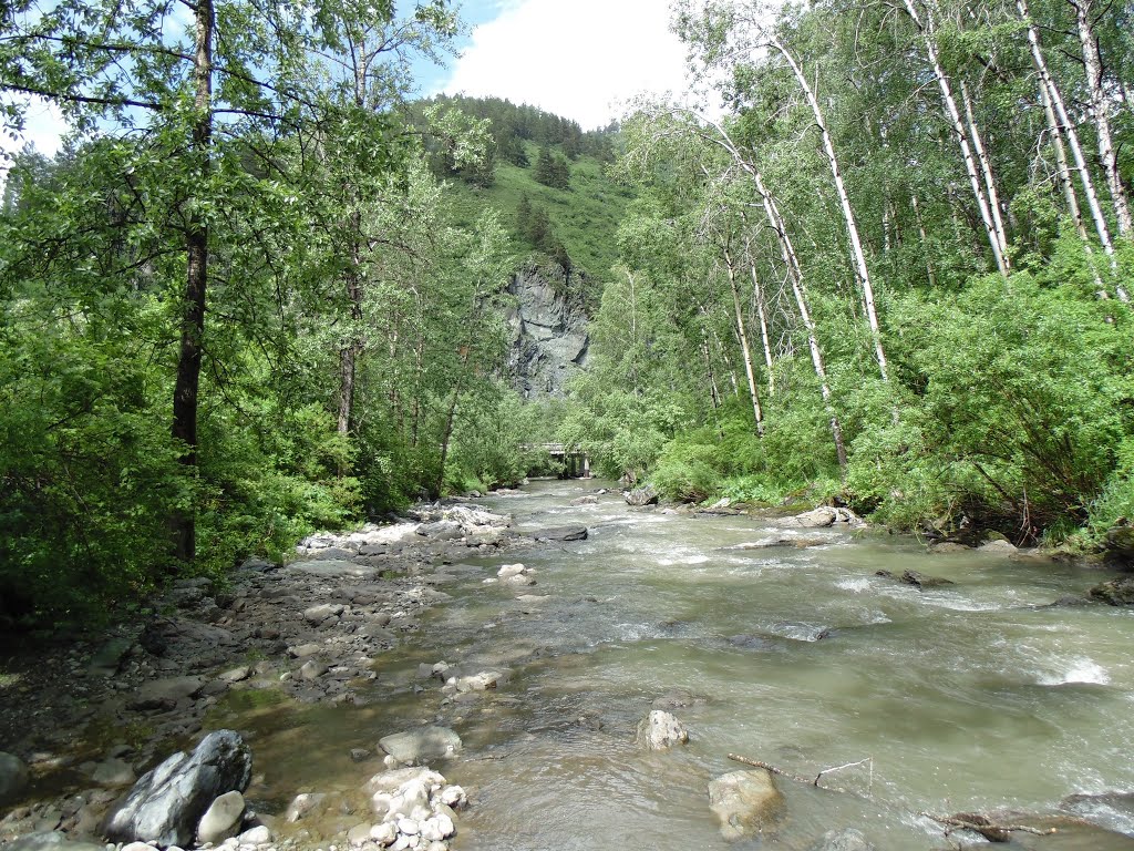 р.Каменка (2). с. Алтайское Алтайский край.