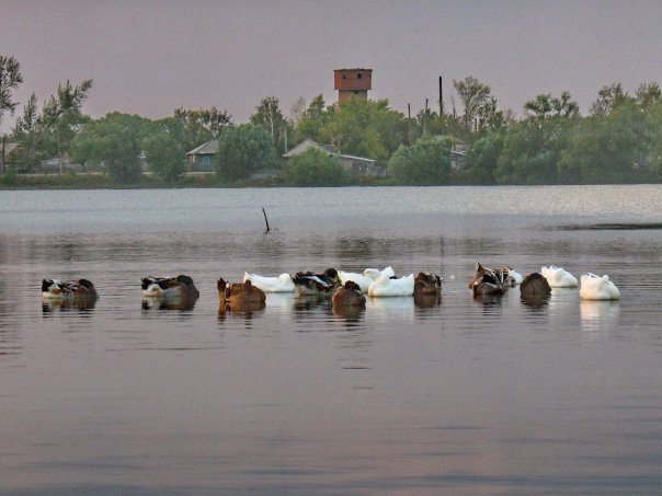баево-озеро