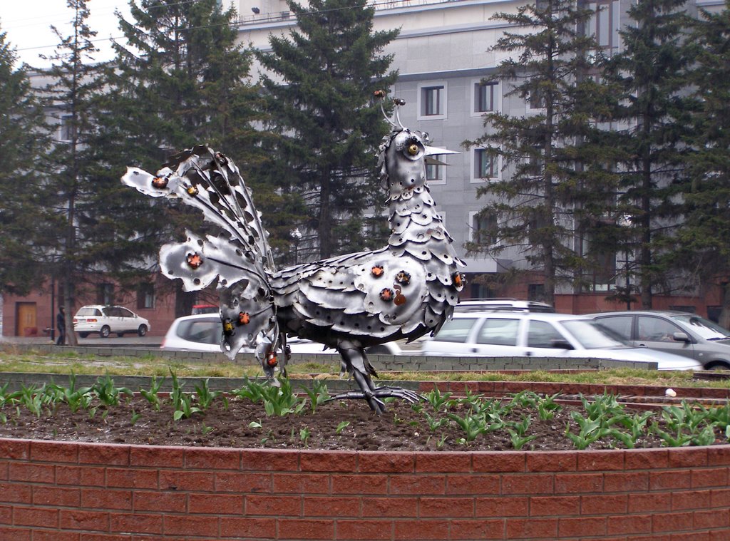 Городской павлин
