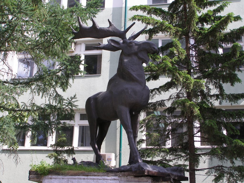 Царь городского леса
