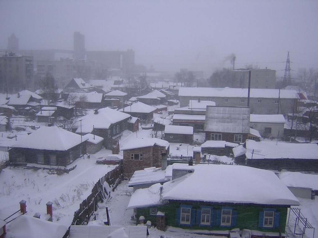 Private houses in front, apartment buildings and grain elevator in rear /  Частные дома, элеватор