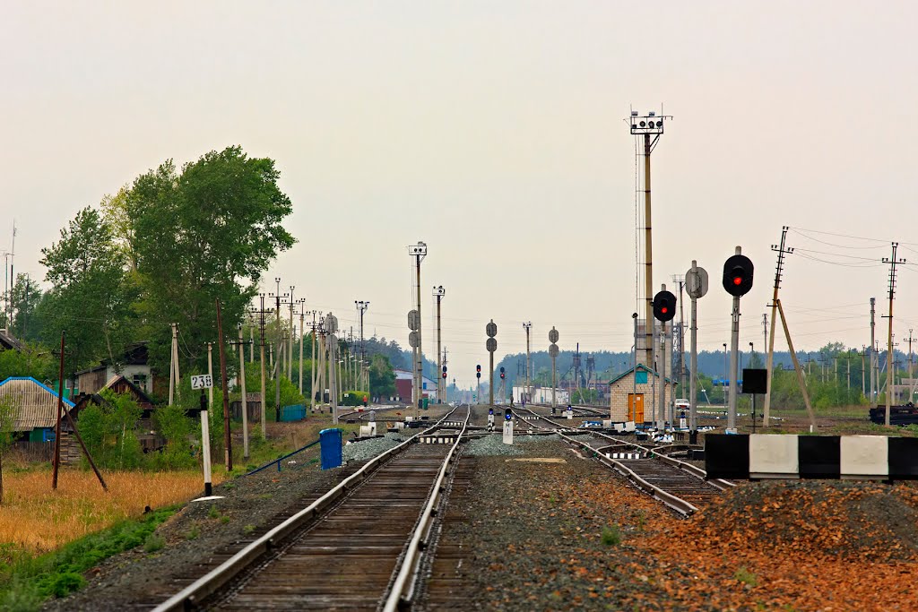 Восточная горловина ст. Ребриха