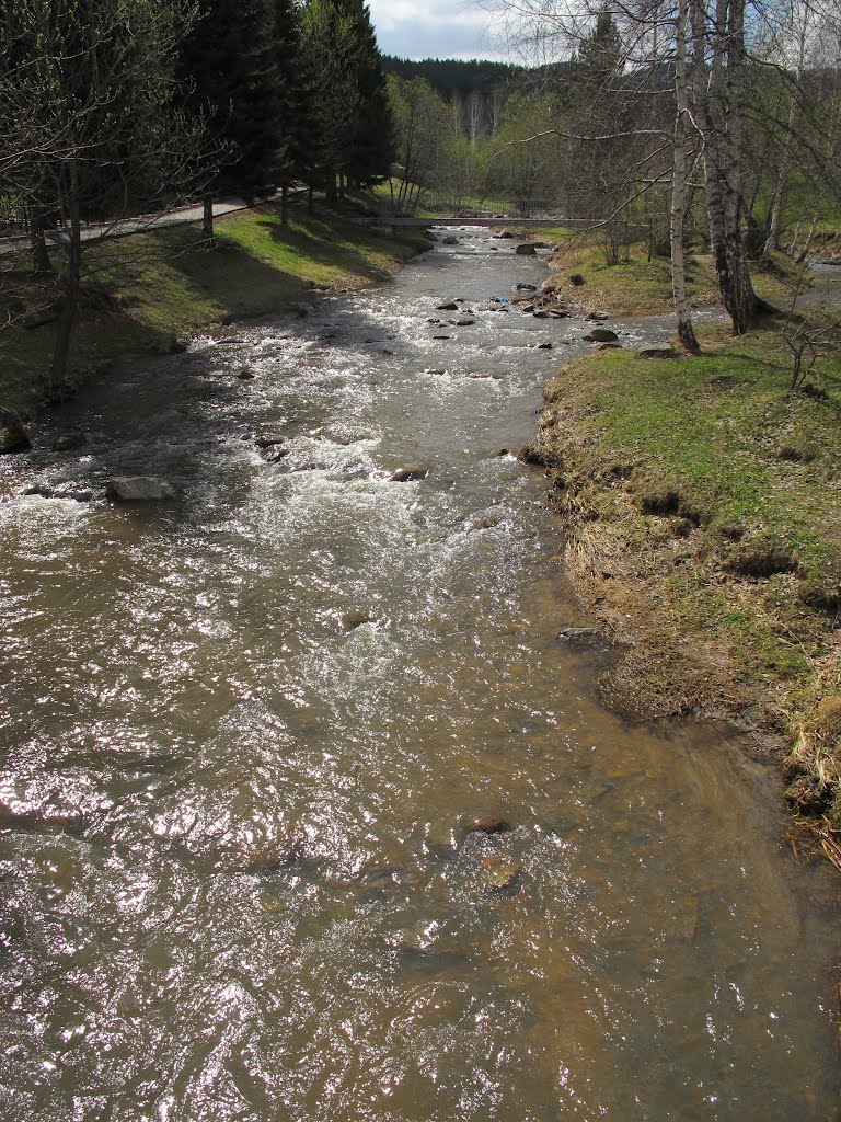 Novotyryshkino