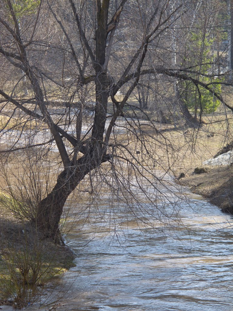 Алтайский край. Белокуриха. Половодье