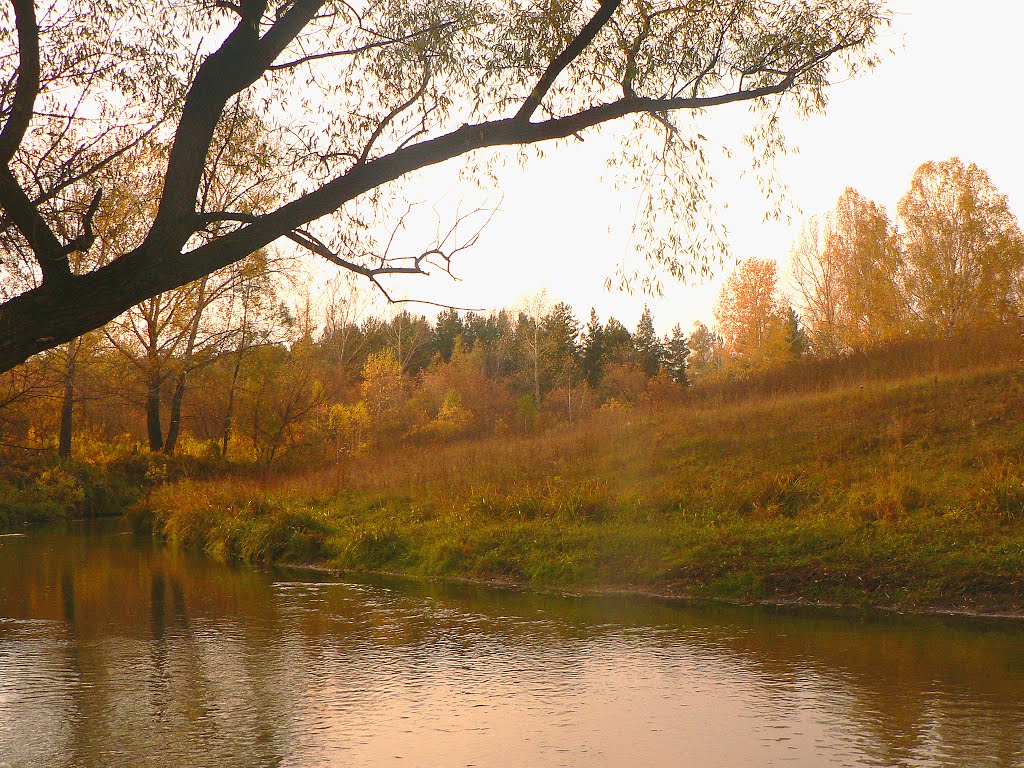 речка Черемшанка