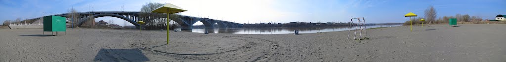 Мост берез реку Бия. С пляжа