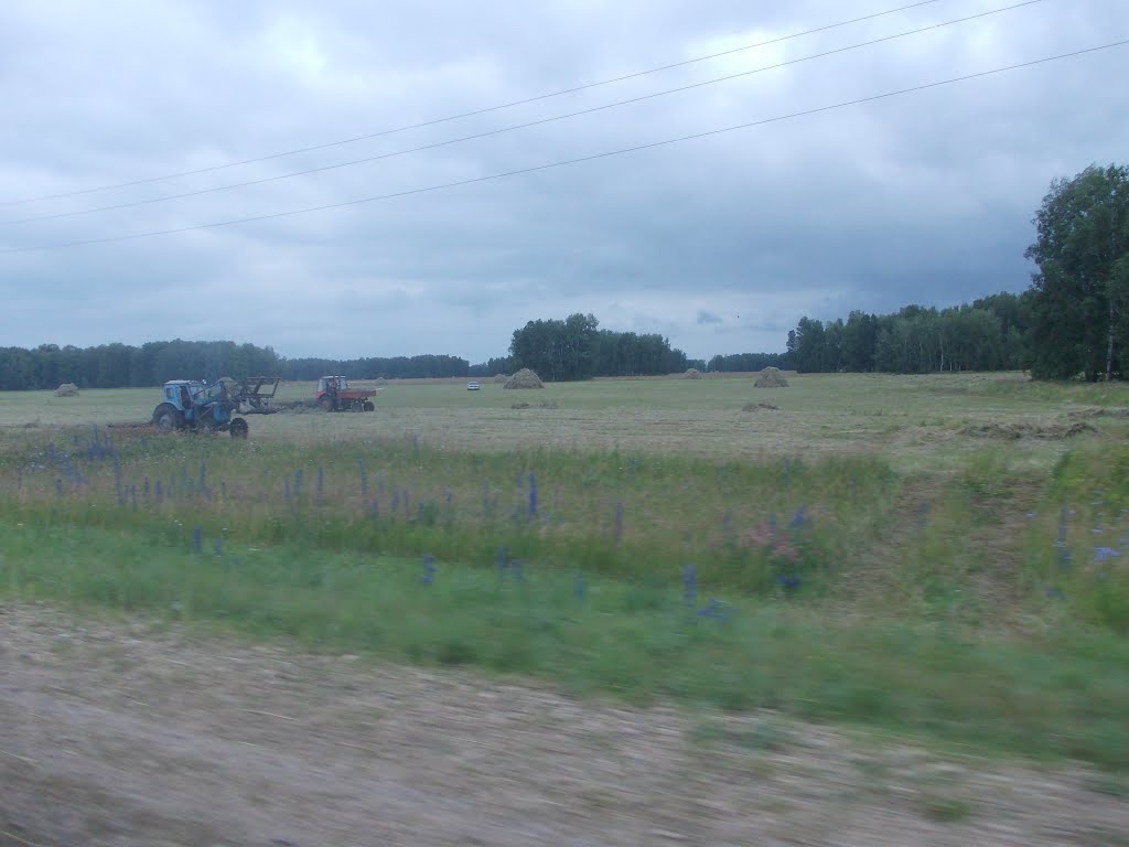 Уборка урожая.