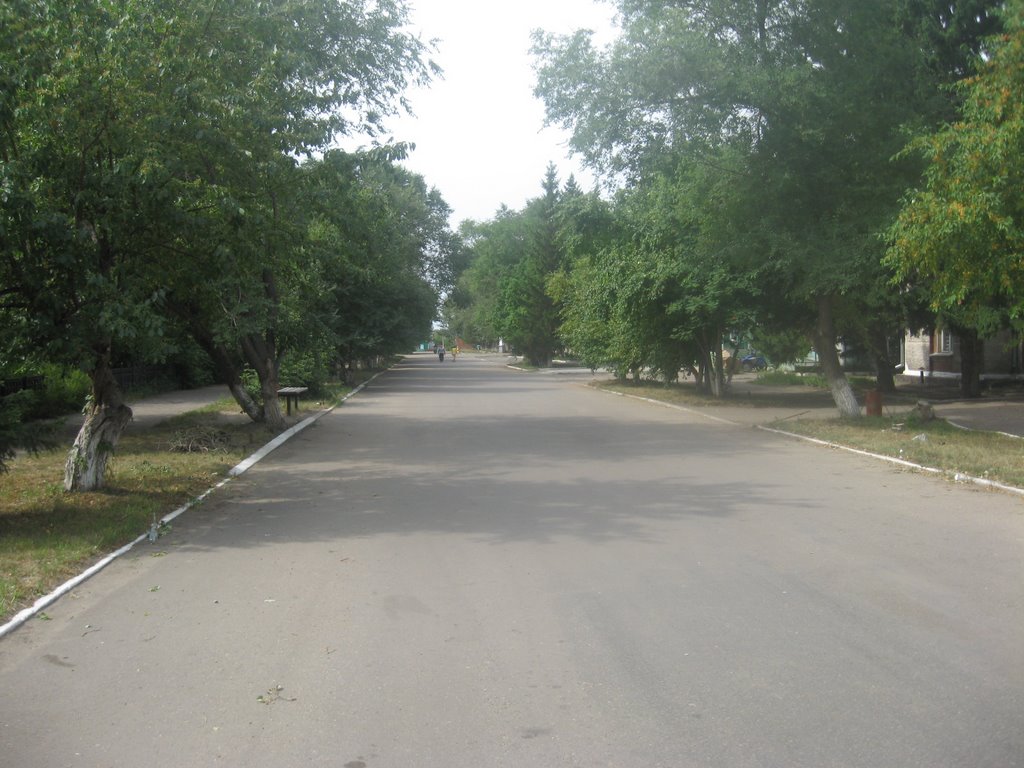 Улица Ленина