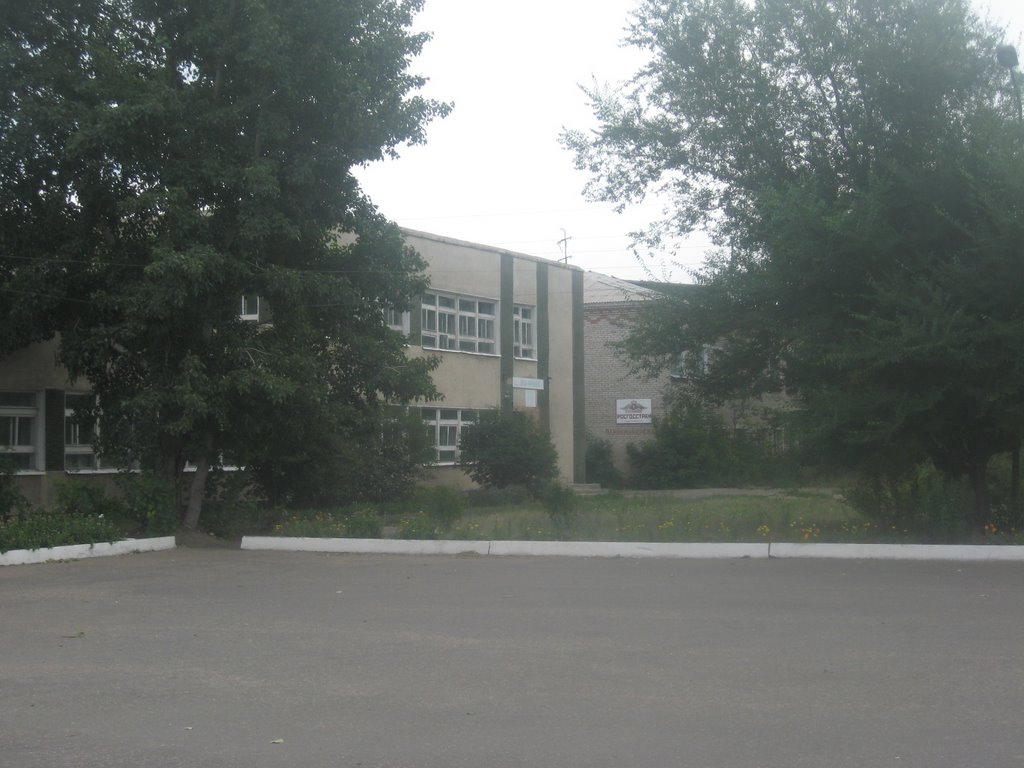 Библиотека