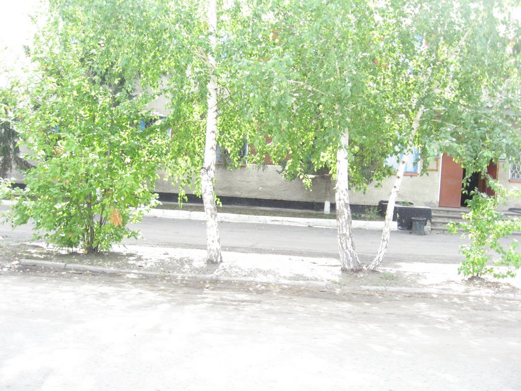 Милиция (за деревьями)
