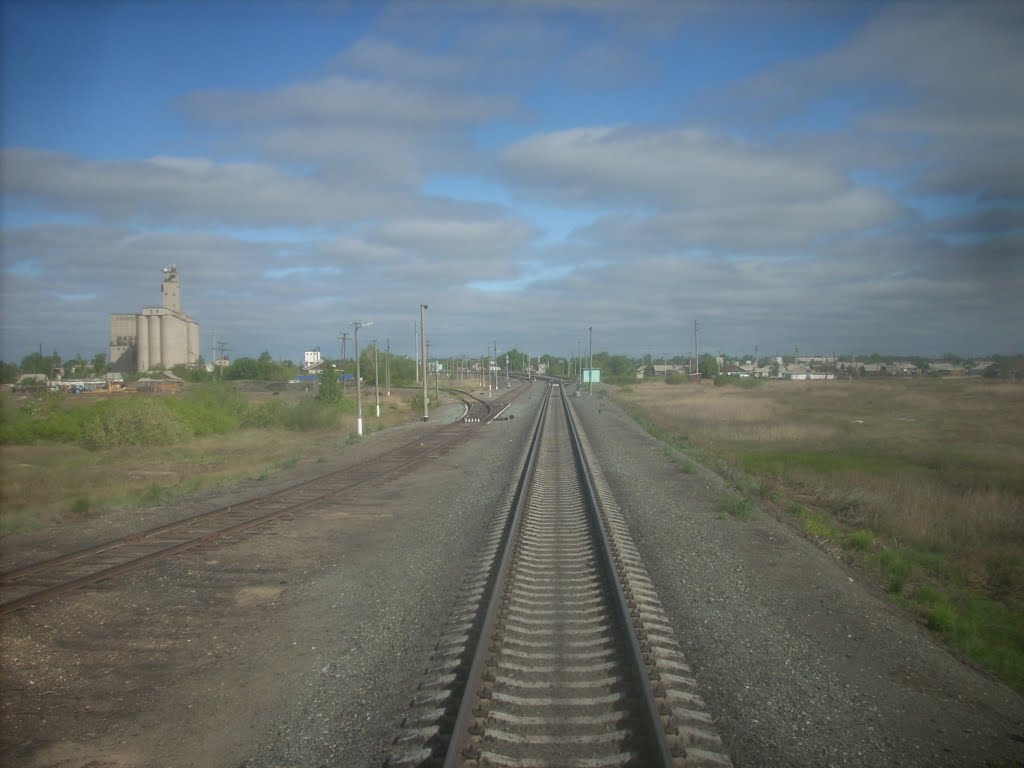 Бурла