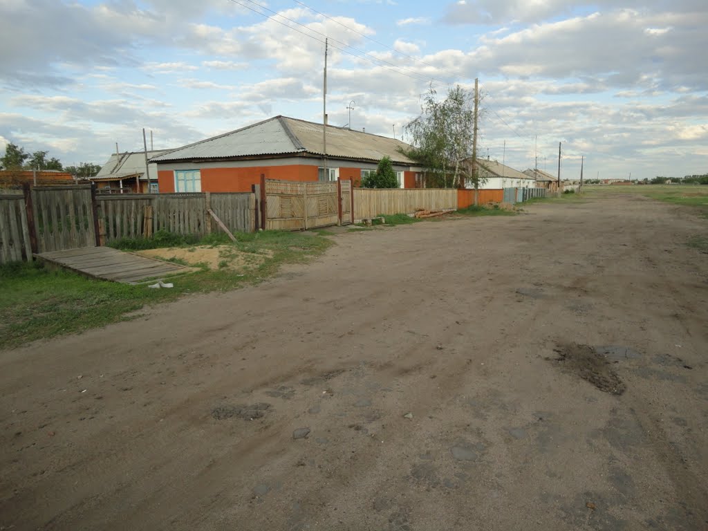 Ул. Строительная (Партизанское)