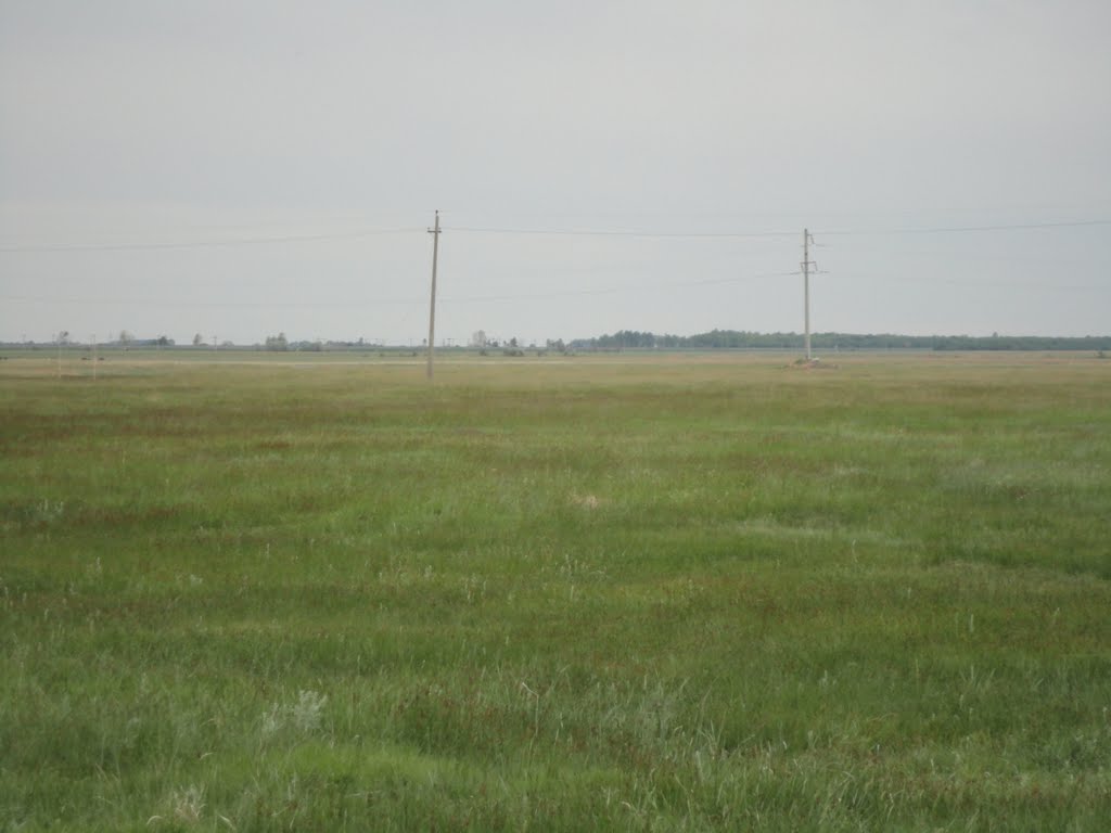 Степь