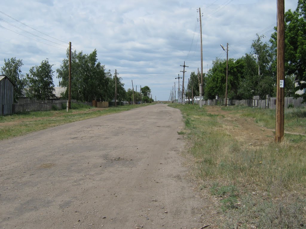 Пушкина ул.