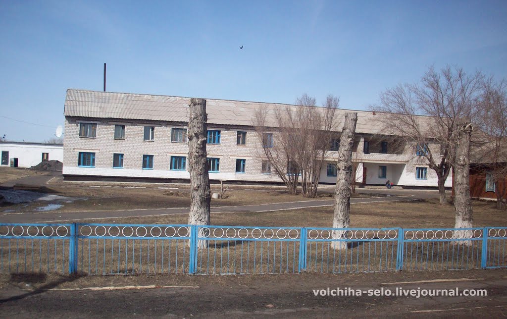 Волчиха алтайский край