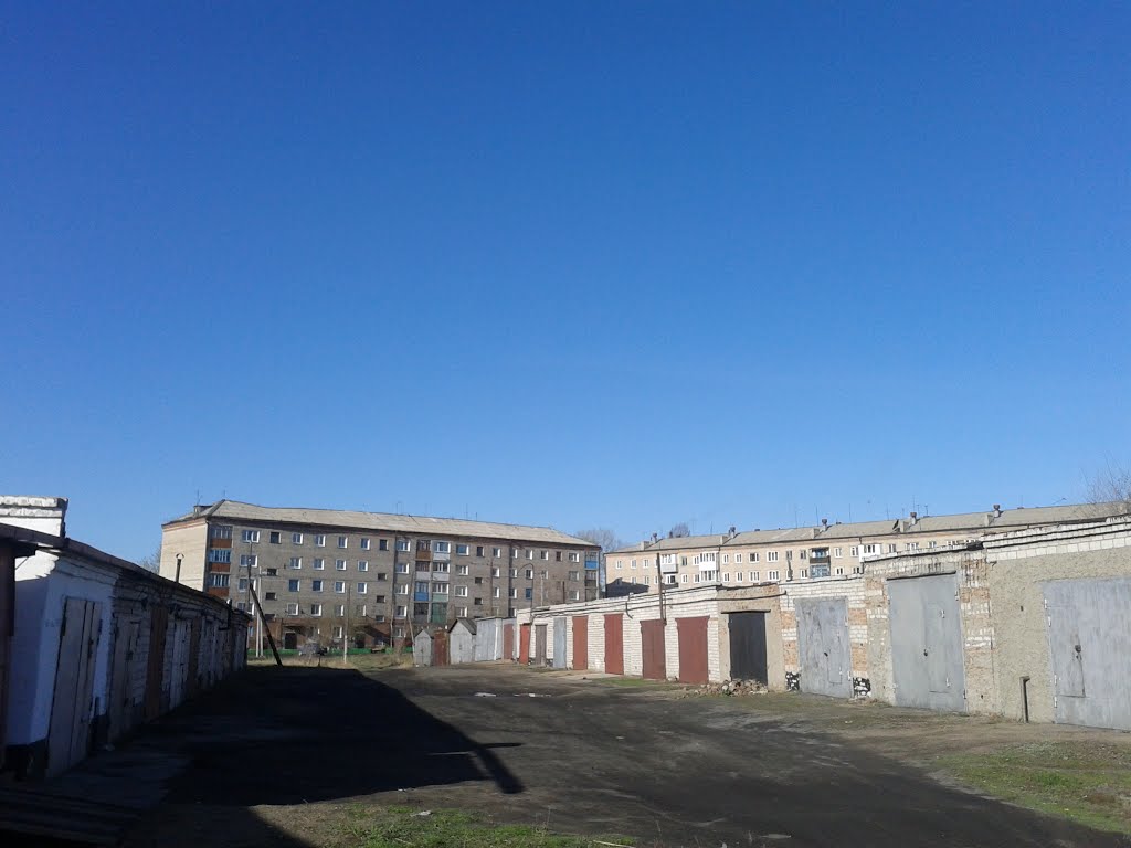 гаражи возле микрорайона