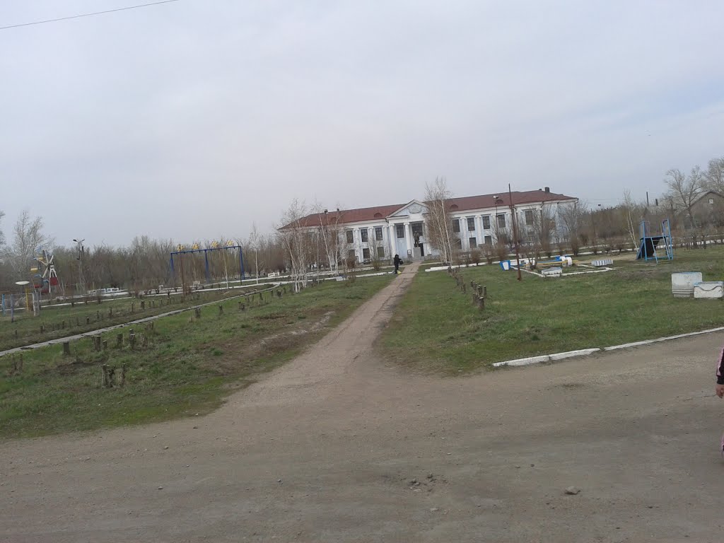 парк и дк островского